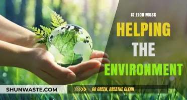 Elon Musk's Environmental Impact: Sustainable Savior or Greenwashing?