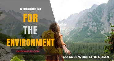 Is Embalming Harming Our Planet? Environmental Impact Explored