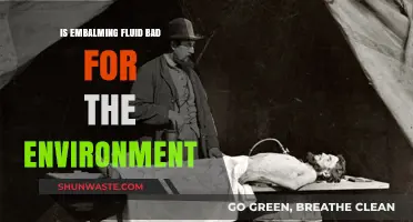 Embalming Fluid's Environmental Impact: Harmful or Harmless?