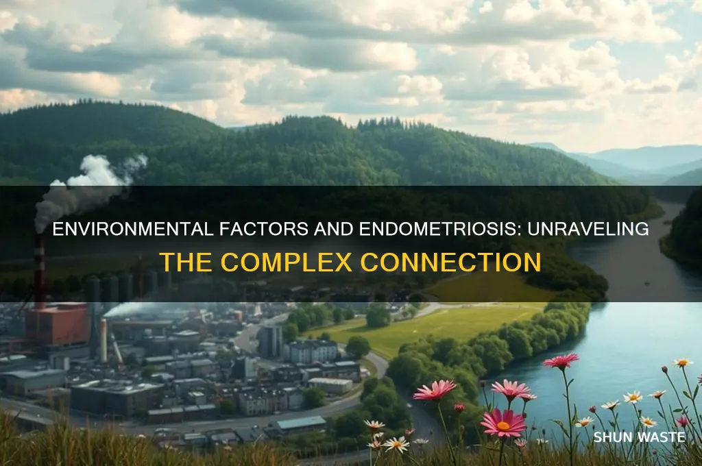 is endometriosis affected by environment