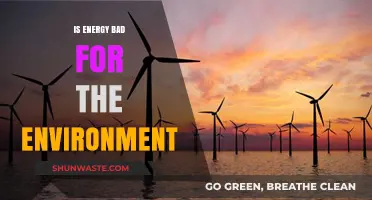 Energy's Environmental Impact: Balancing Power Needs with Planetary Health