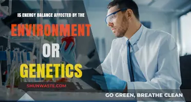Environment vs. Genetics: Unraveling Their Impact on Energy Balance