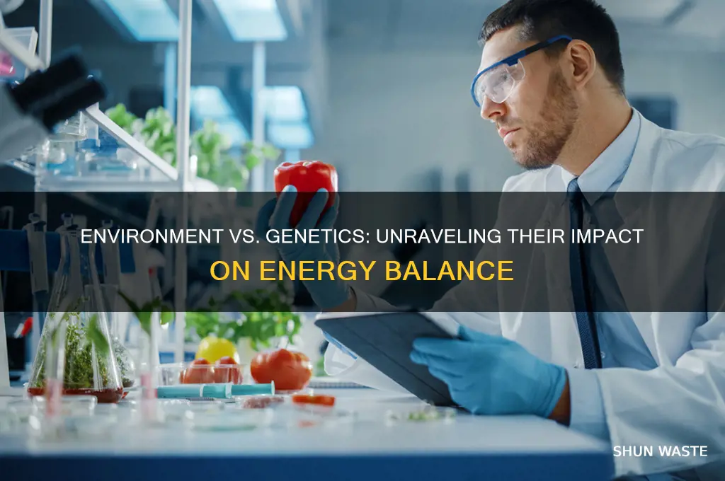 is energy balance affected by the environment or genetics