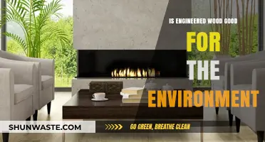 Is Engineered Wood an Eco-Friendly Choice for Sustainable Living?