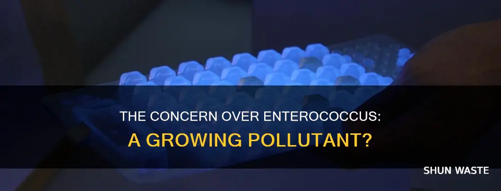 is enterococcus a pollutant of concern