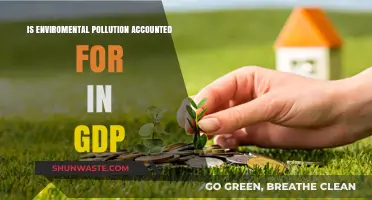 GDP's Blind Spot: Environmental Pollution