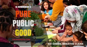 Is the Environment a Pure Public Good? Exploring Its Nature and Implications