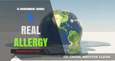 Is Environmental Change Triggering Real Allergies? Exploring the Connection