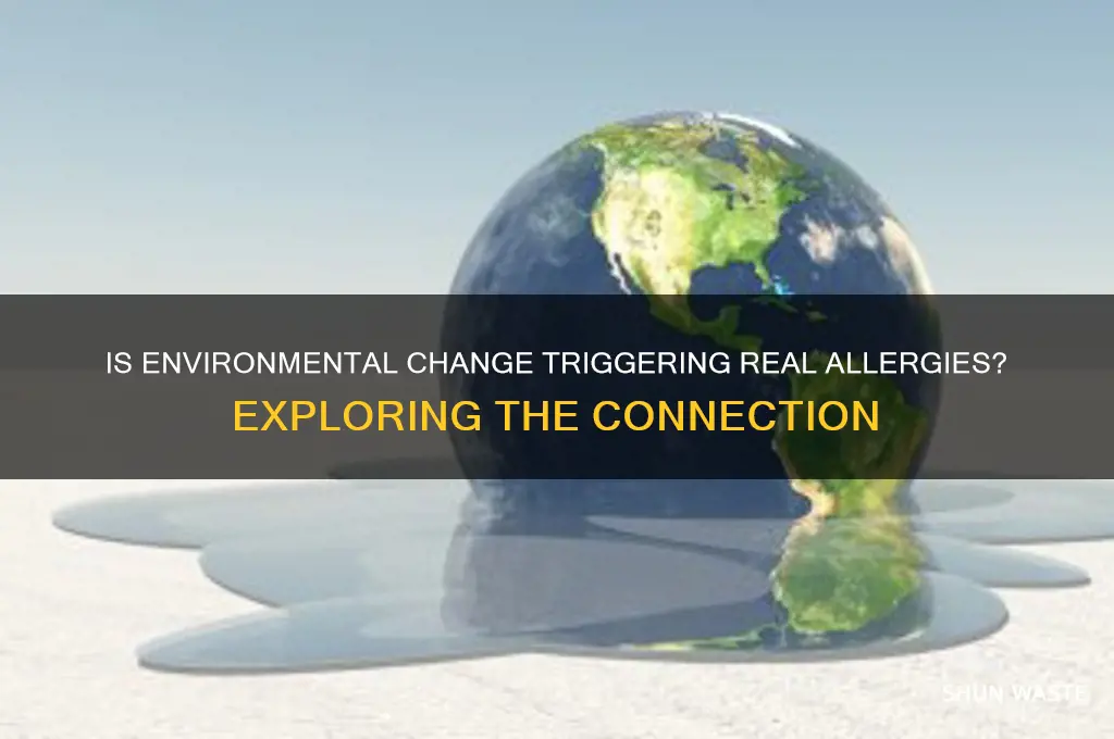 is environment change a real allergy