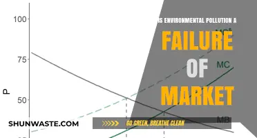Market Failure: The Cost of Environmental Pollution