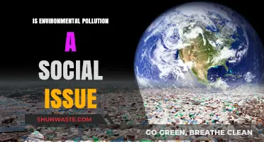 Environmental Pollution: A Social Issue?