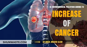 Environmental Pollution: Cancer's Growing Concern?