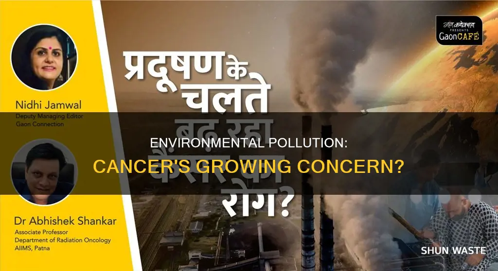 is environmental pollution adding to increase of cancer
