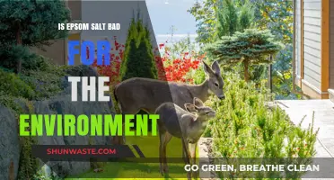 Is Epsom Salt Eco-Friendly? Environmental Impact and Sustainable Alternatives