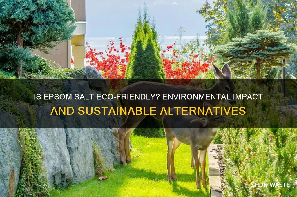 is epsom salt bad for the environment