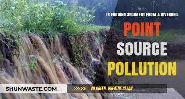Sediment Pollution: Rivers and the Eroding Riverbed