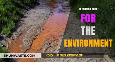 Erosion's Environmental Impact: A Blessing or Curse for Nature?