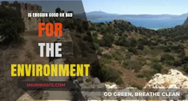Erosion's Environmental Impact: Balancing Benefits and Harmful Consequences