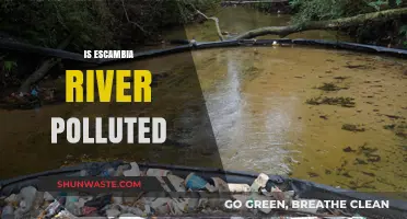 Escambia River Pollution: Is It Safe?