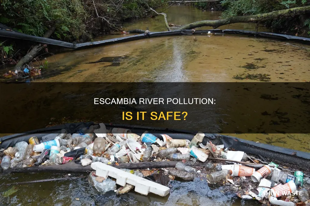is escambia river polluted