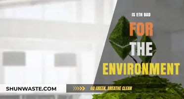 Is Ethereum Harming Our Planet? Environmental Impact Explored