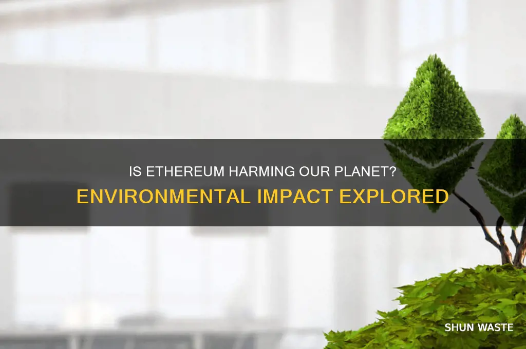 is eth bad for the environment