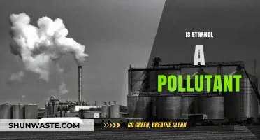 Ethanol: Friend or Foe to the Environment?