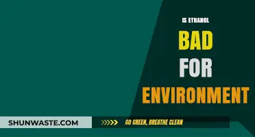Ethanol's Environmental Impact: Sustainable Solution or Ecological Concern?
