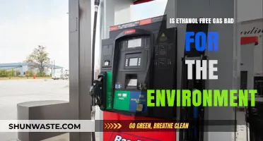 Ethanol-Free Gas: Environmental Impact and Sustainability Concerns Explored
