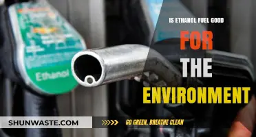 Ethanol Fuel: Eco-Friendly Solution or Environmental Trade-Off?