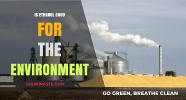 Ethanol's Environmental Impact: A Sustainable Fuel Alternative or Greenwash?