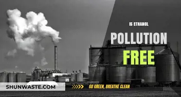 Ethanol's Promise: Pollution-Free Energy?