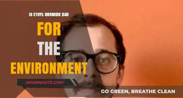 Ethyl Bromide's Environmental Impact: Harmful Effects and Sustainable Alternatives