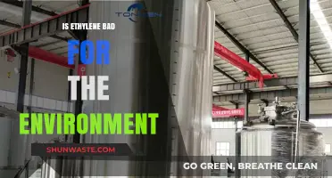 Ethylene's Environmental Impact: Harmful Effects and Sustainable Solutions