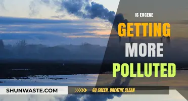 Eugene's Pollution Problem: Is It Getting Worse?