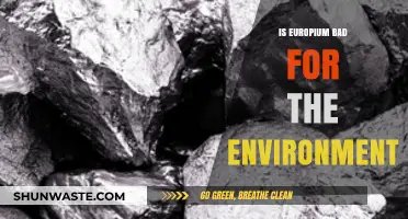 Europium's Environmental Impact: Assessing Its Ecological Footprint and Risks