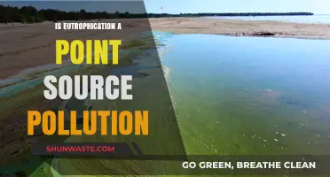 Eutrophication: Point Source Pollution and its Impact