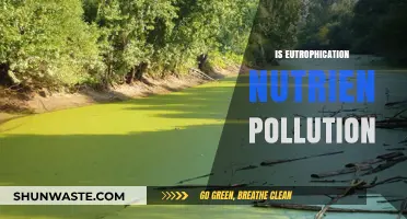 Eutrophication: Nutrient Pollution's Impact on Aquatic Ecosystems