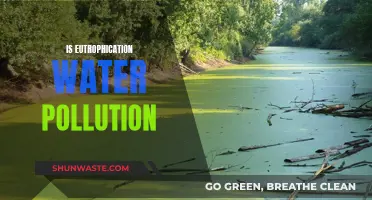 Eutrophication: The Hidden Water Pollution Threat