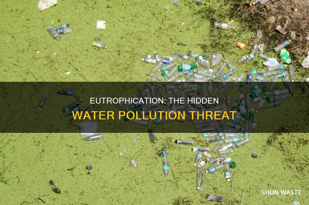 is eutrophication water pollution