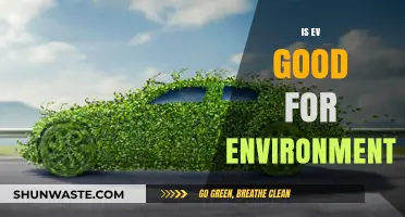 Are Electric Vehicles Truly Eco-Friendly? Uncovering the Environmental Impact