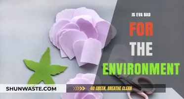 Is EVA Environmentally Harmful? Uncovering Its Ecological Impact and Sustainability
