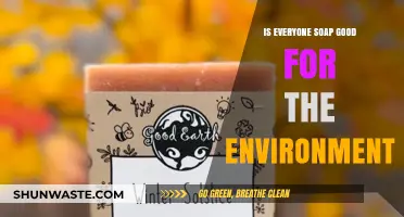 Eco-Friendly Soaps: Are All Brands Truly Green or Just Greenwashing?