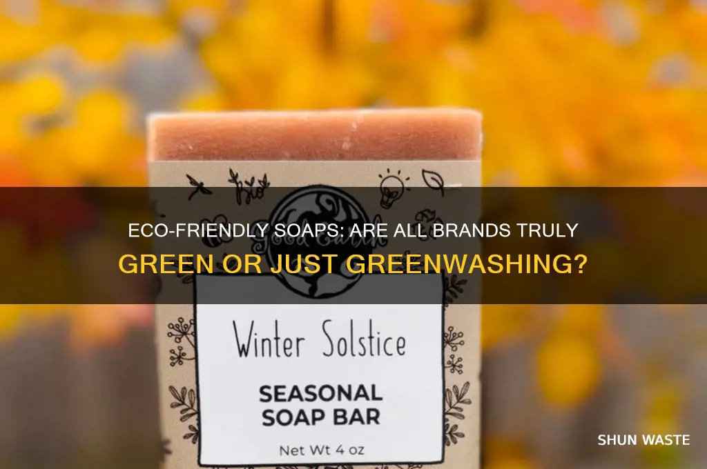is everyone soap good for the environment