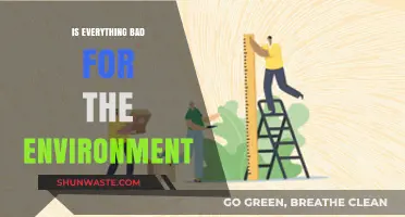 Is Everything Harmful? Unraveling the Environmental Impact of Daily Choices