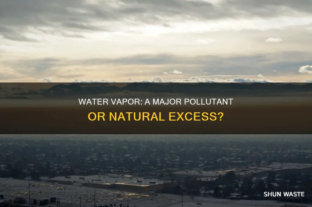 is excess water vapor a major pollutant