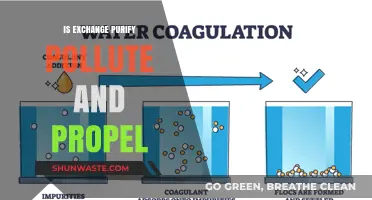 How Exchanges Purify, Pollute and Propel the World
