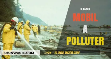 Exxon Mobil: A Polluter or Not?