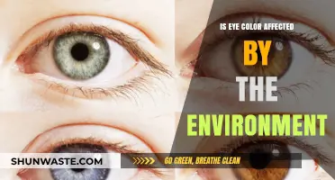 Environmental Factors and Eye Color: Unraveling the Surprising Connection