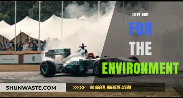 F1's Environmental Impact: Racing Towards Sustainability or Harm?